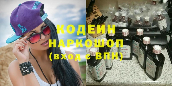 молекула духа Арсеньев