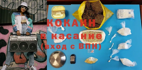 молекула духа Арсеньев